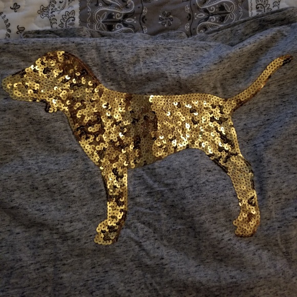 VS Pink Campus Long Sleeve Tee - Picture 7 of 7